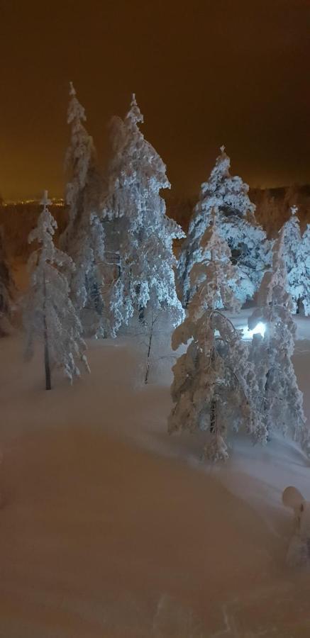 Apartman Mina Divčibare Exteriér fotografie